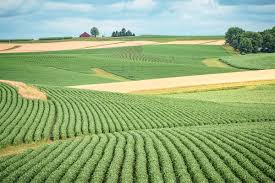 Sell Land In Iowa
